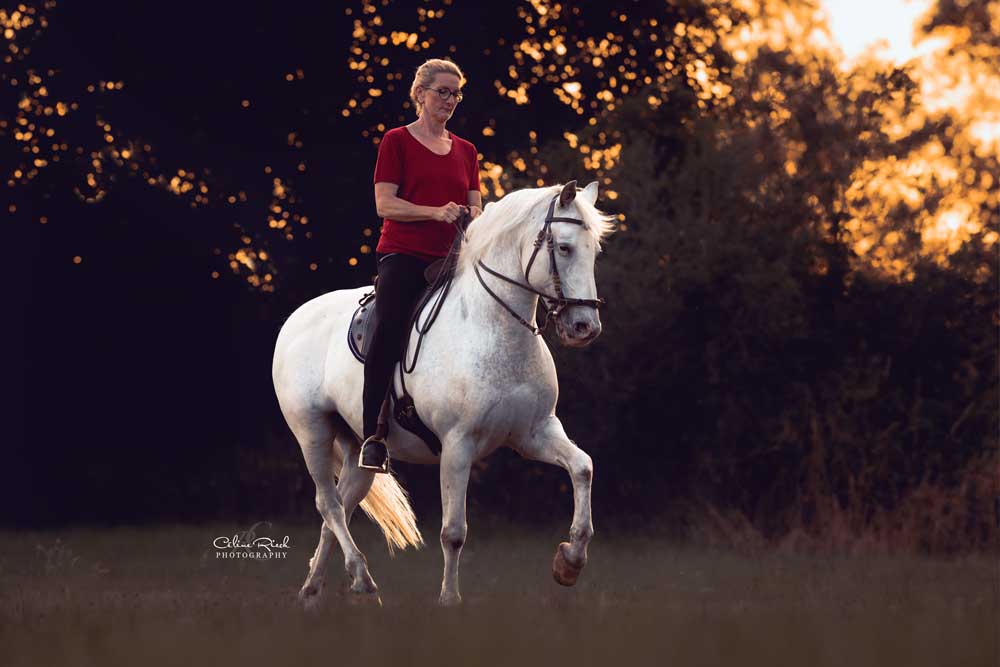 sabine-oettel-authentische-reitkunst-trab
